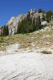 Pointy trees and pinnacles [sat aug 23 11:00:58 mdt 2025]